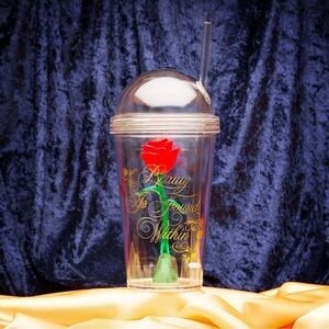 Beauty and the beast Disney tumbler